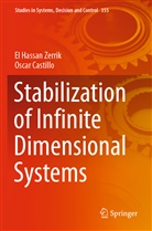 Oscar Castillo, El Hassan Zerrik - Stabilization of Infinite Dimensional Systems