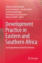 Shirley DeWolf, Joseph Francis, Joseph Francis et al, Sepo Hachigonta, Joseph Kamuzhanje, Oluwatoyin Dare Kolawole... - Development Practice in Eastern and Southern Africa