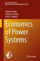 Antonio J Conejo, Antonio J. Conejo, Afzal S Siddiqui, Afzal S. Siddiqui, Makoto Tanaka - Economics of Power Systems