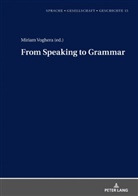 Margarita Borreguero, Miriam Voghera - From Speaking to Grammar