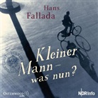 Hans Fallada, Matthias Brandt, Diverse, diverse, Nico Holonics, Laura Maire... - Kleiner Mann - was nun?, 1 Audio-CD (Hörbuch)