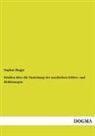 Sophus Bugge - Studien über die Enstehung der nordischen Götter- und Heldensagen