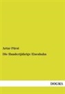 Artur Fürst - Die Hundertjährige Eisenbahn