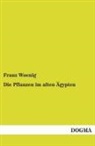Franz Woenig - Die Pflanzen im alten Ägypten