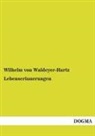Wilhelm Von Waldeyer-Hartz - Lebenserinnerungen