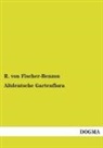 R. Von Fischer-Benzon, Rudolph von Fischer-Benzon, R von Fischer-Benzon, R. von Fischer-Benzon - Altdeutsche Gartenflora