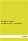 Ferdinand Baumer - Das Konservieren der Früchte