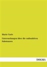 Marie Curie - Untersuchungen über die radioaktiven Substanzen