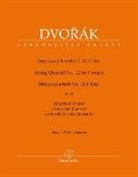Antonin Dvorak, Antonín Dvorák, Michael Kube - Streichquartett Nr. 12 F-Dur op. 96 "Amerikanisches Quartett"