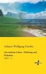 Johann Wolfgang von Goethe - Aus meinem Leben - Dichtung und Wahrheit