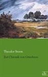 Theodor Storm - Zur Chronik von Grieshuus