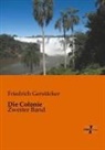 Friedrich Gerstäcker - Die Colonie. Bd.2