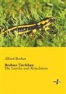 Alfred Brehm - Brehms Tierleben