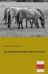 Friedrich A. Zürn, Friedrich Anton Zürn - Die intellektuellen Eigenschaften der Pferde