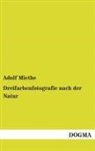 Adolf Miethe - Dreifarbenfotografie nach der Natur