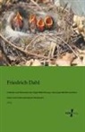 Friedrich Dahl - Leitfaden zum Bestimmen der Vögel Mittel-Europas, ihrer Jugendkleider und ihrer Nester nach leicht erkennbaren Merkmalen