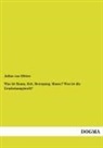 Julius von Olivier, Julius von Olivier - Was ist Raum, Zeit, Bewegung, Masse? Was ist die Erscheinungswelt?