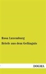 Rosa Luxemburg - Briefe aus dem Gefängnis