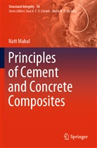 Natt Makul - Principles of Cement and Concrete Composites
