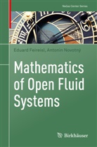Eduard Feireisl, Antonin Novotný - Mathematics of Open Fluid Systems