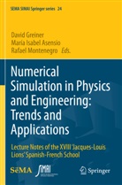 María Isabel Asensio, David Greiner, María Isabel Asensio, Rafael Montenegro - Numerical Simulation in Physics and Engineering: Trends and Applications