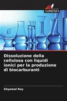 Shyamal Roy - Dissoluzione della cellulosa con liquidi ionici per la produzione di biocarburanti