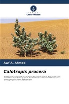 Awf A Ahmed, Awf A. Ahmed - Calotropis procera