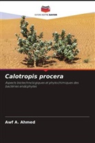 Awf A. Ahmed - Calotropis procera