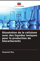 Shyamal Roy - Dissolution de la cellulose avec des liquides ioniques pour la production de biocarburants