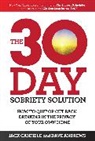 Dave Andrews, Andrews Dave, Jack Canfield - The 30-Day Sobriety Solution