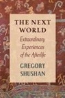 Gregory Shushan - The Next World