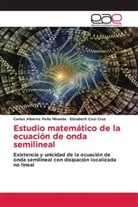 Elizabeth Cosi Cruz, Carlos Alberto Peña Miranda - Estudio matemático de la ecuación de onda semilineal