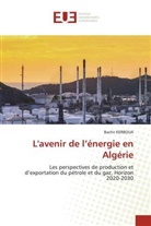 Bachir KERBOUA - L'avenir de l'énergie en Algérie