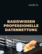 Mark B, Mark B. - Basiswissen professionelle Datenrettung