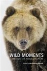 Michael Engelhard - Wild Moments: Adventures with Animals of the North