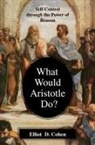 Elliot Cohen, Elliot D Cohen, Elliot D. Cohen - What Would Aristotle Do?