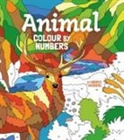 Arcturus Publishing, Arcturus Publishing Limited, Andres Vaisberg - Animal Colour By Numbers