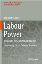 Roberto Ciccarelli - Labour Power
