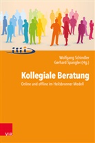 Wolfgang Schindler, Spangler, Gerhard Spangler - Kollegiale Beratung