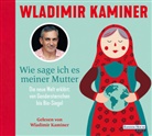 Wladimir Kaminer, Wladimir Kaminer - Wie sage ich es meiner Mutter, 2 Audio-CD (Hörbuch)