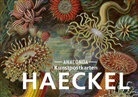 Ernst Haeckel - Postkarten-Set Ernst Haeckel