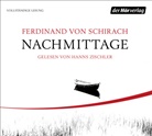 Ferdinand von Schirach, Hanns Zischler - Nachmittage, 3 Audio-CD (Hörbuch)