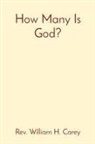 William H Carey - How Many Is God?