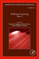 Benjamin J. Eggleton, Christopher G. Poulton, Michael J. Steel - Brillouin Scattering Part 2