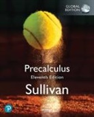 Michael Sullivan, Michael Sullivan - Precalculus