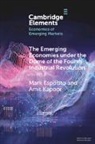 Mark Esposito, Mark Kapoor Esposito, Esposito Mark, Amit Kapoor, Kapoor Amit - Emerging Economies Under the Dome of the Fourth Industrial Revolution