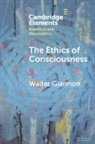 Walter Glannon, Walter (University of Calgary) Glannon, Glannon Walter - The Ethics of Consciousness