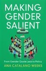 Ana Catalano Weeks - Making Gender Salient