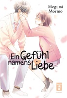 Megumi Morino - Ein Gefühl namens Liebe 11
