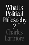 Charles Larmore - What Is Political Philosophy?